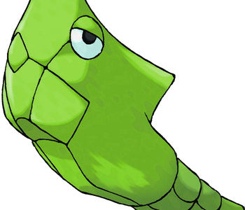 Matapod