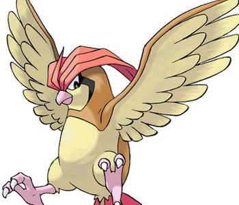 Pidgeotto