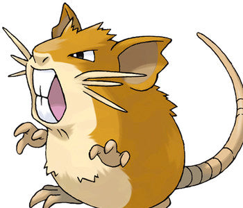 Raticate