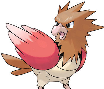 Spearow