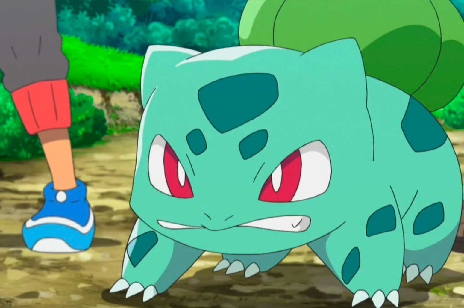 Bulbasaur the first evolution