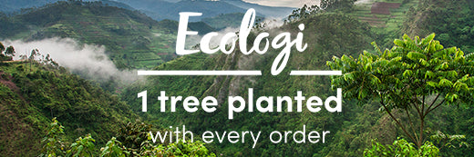 Ecologi