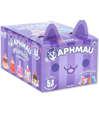 Load image into Gallery viewer, Aphmau Carnival Treats Litter 7 MeeMeows mystery plush box with colorful carnival-themed designs.
