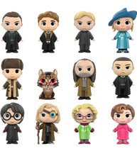 Load image into Gallery viewer, Funko Mystery Minis Harry Potter collectible figures featuring 12 iconic characters from the wizarding world.
