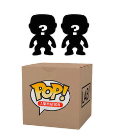 Mystery Box - 2 Mystery POP figures in cardboard box with silhouette images.