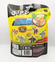 Load image into Gallery viewer, Heroes Of Goo Jit Zu - Aquaman back of pack
